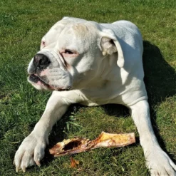 Topdiervoeding Runderkophuid Hondensnacks - Vers Gedroogd - 30cm - 1000 Gram -Dog Supplies 1200x1200 678