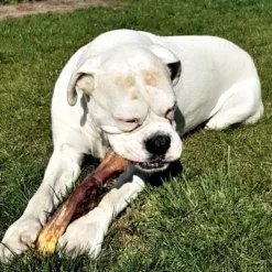 Topdiervoeding Runderkophuid Hondensnacks - Vers Gedroogd - 30cm - 1000 Gram -Dog Supplies 1200x1200 679