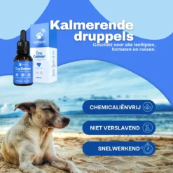 Aerend - Kalmerende Druppels Voor Honden - Zanipro® 30ml - Ontspanning En Antistress Middel Om Gedragsproblemen Te Verlichten - 100% Natuurlijk Uit Het Verenigd Koninkrijk - Met Ashwagandha & Valeriaan - No-stress - Voor Thuis En Onderweg 13 Aerend - Kalmerende Druppels Voor Honden - Zanipro® 30ml - Ontspanning En Antistress Middel Om Gedragsproblemen Te Verlichten - 100% Natuurlijk Uit Het Verenigd Koninkrijk - Met Ashwagandha & Valeriaan - No-stress - Voor Thuis En Onderweg -Dog Supplies 1200x1200 693