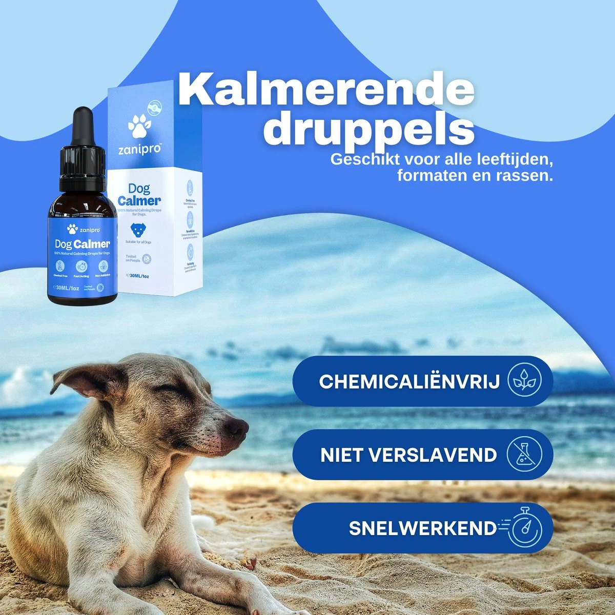 Aerend - Kalmerende Druppels Voor Honden - Zanipro® 30ml - Ontspanning En Antistress Middel Om Gedragsproblemen Te Verlichten - 100% Natuurlijk Uit Het Verenigd Koninkrijk - Met Ashwagandha & Valeriaan - No-stress - Voor Thuis En Onderweg 7 Aerend - Kalmerende Druppels Voor Honden - Zanipro® 30ml - Ontspanning En Antistress Middel Om Gedragsproblemen Te Verlichten - 100% Natuurlijk Uit Het Verenigd Koninkrijk - Met Ashwagandha & Valeriaan - No-stress - Voor Thuis En Onderweg - Afbeelding 7