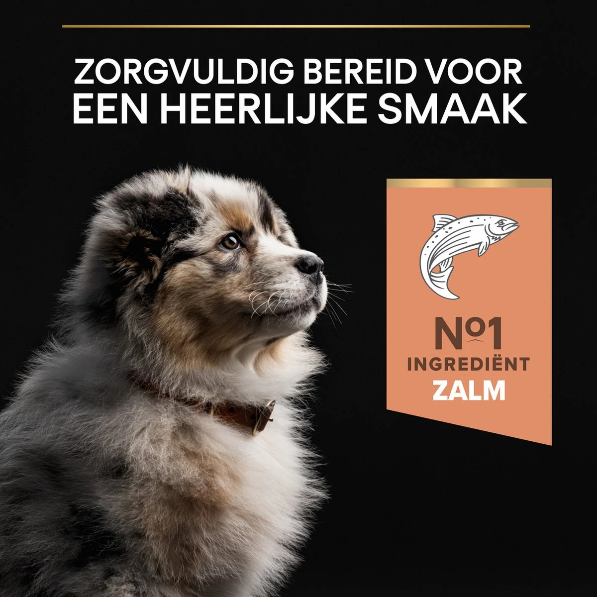 Pro Plan Medium Puppy Sensitive Skin - Honden Droogvoer - Zalm - 12 Kg 11 Pro Plan Medium Puppy Sensitive Skin - Honden Droogvoer - Zalm - 12 Kg - Afbeelding 11