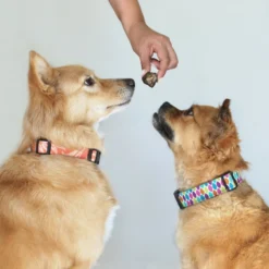 Topdiervoeding Runderlong Trainers Hondensnacks - Gedroogd En Vetarm - 1 KG -Dog Supplies 1200x1200 721