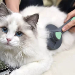 Pakeway Kattenborstel – Hondenborstel – Haarverwijderaar Voor Huisdieren – Kattenkam - Kortharig - Langharig - Inclusief Ebook! -Dog Supplies 1200x1200 73