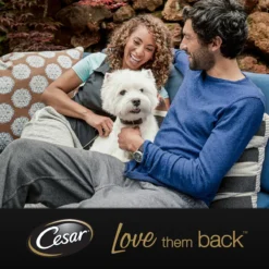 Cesar Primeur Paté Honden Natvoer - Kalf & Worteltjes - 10 X 300 Gr -Dog Supplies 1200x1200 734