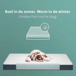 CozySense® - Orthopedisch Hondenkussen - Hondenkussen 90 X 55 Cm - Ook Geschikt Als Benchkussen & Hondenbed - Hondenkussen Bank - Traagschuim - Waterdicht - Wasbare Hoes - Maat L 11 CozySense® - Orthopedisch Hondenkussen - Hondenkussen 90 X 55 Cm - Ook Geschikt Als Benchkussen & Hondenbed - Hondenkussen Bank - Traagschuim - Waterdicht - Wasbare Hoes - Maat L -Dog Supplies 1200x1200 755