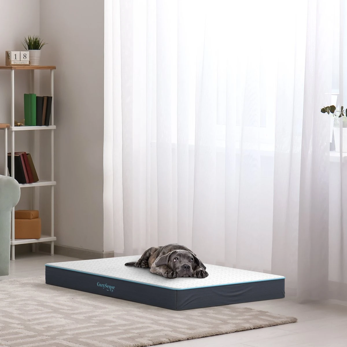 CozySense® - Orthopedisch Hondenkussen - Hondenkussen 90 X 55 Cm - Ook Geschikt Als Benchkussen & Hondenbed - Hondenkussen Bank - Traagschuim - Waterdicht - Wasbare Hoes - Maat L 6 CozySense® - Orthopedisch Hondenkussen - Hondenkussen 90 X 55 Cm - Ook Geschikt Als Benchkussen & Hondenbed - Hondenkussen Bank - Traagschuim - Waterdicht - Wasbare Hoes - Maat L - Afbeelding 6