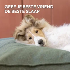 Snoozle Orthopedische Hondenmand - Zacht En Luxe Hondenkussen - Hondenbed - Wasbaar - Hondenmanden - 80 X 55 Cm - Desert Pink -Dog Supplies 1200x1200 774