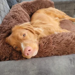 Origineel Hondendeken Voor Bank– Hondenkleed Fluffy – Pluche Hondenbed - Hondenmand Premium - Volledig Afritsbaar -Dog Supplies 1200x1200 786