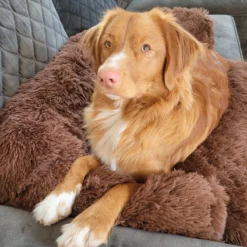 Origineel Hondendeken Voor Bank– Hondenkleed Fluffy – Pluche Hondenbed - Hondenmand Premium - Volledig Afritsbaar -Dog Supplies 1200x1200 788