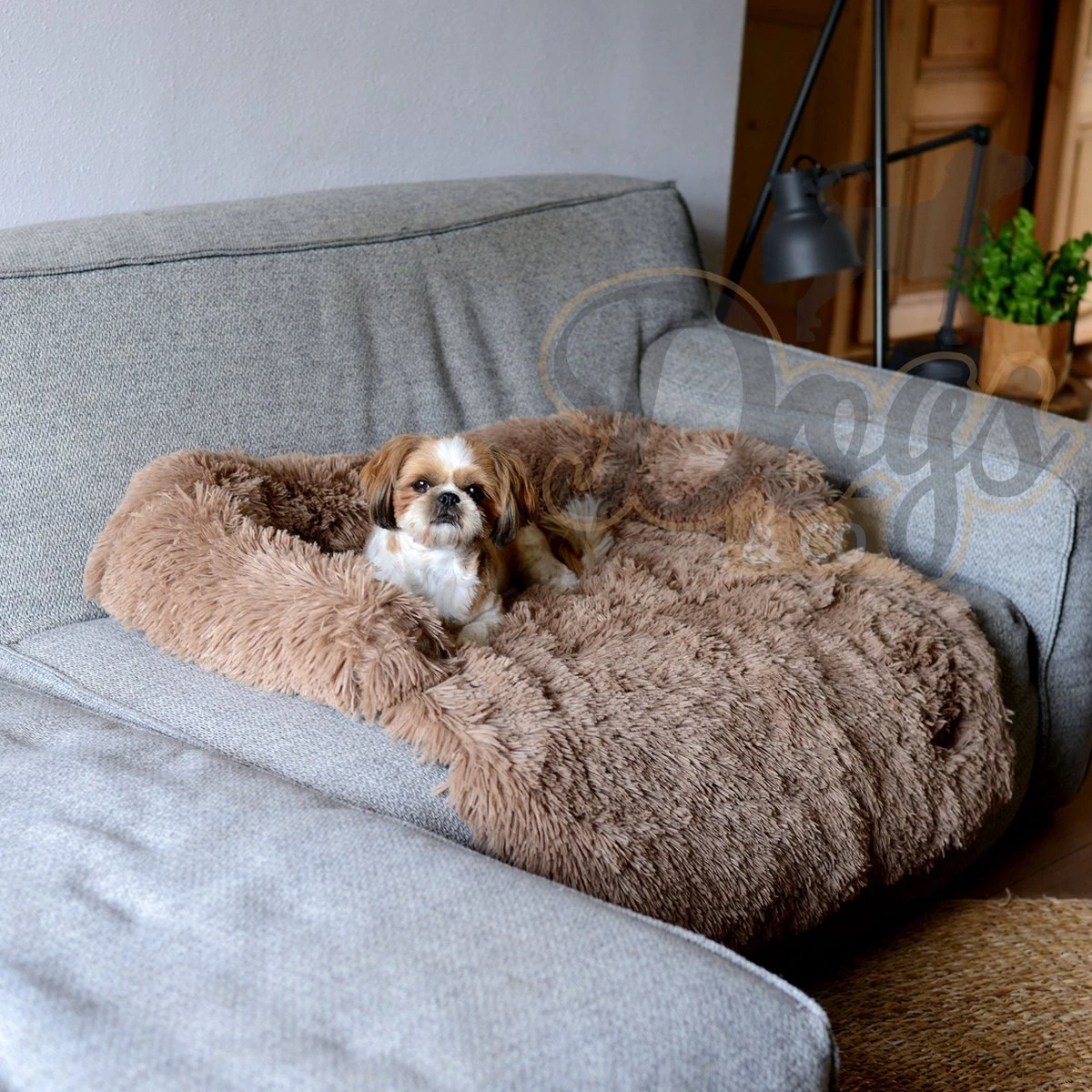 Dogs&Co Zachte Fluffy Hondenmat Voor Bank Maat S Khaki 75x75cm - HONDENMAND 5 Dogs&Co Zachte Fluffy Hondenmat Voor Bank Maat S Khaki 75x75cm - HONDENMAND - Afbeelding 5