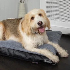 Scruffs Chateau - Hondenbed Orthopedisch Met Memory Foam Voor Extra Steun Voor Rug En Gewrichten - Grijs & Bruin Maat M/L - Kleur: Grijs, Maat: Medium -Dog Supplies 1200x1200 837