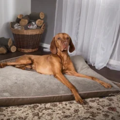 Scruffs Chateau - Hondenbed Orthopedisch Met Memory Foam Voor Extra Steun Voor Rug En Gewrichten - Grijs & Bruin Maat M/L - Kleur: Grijs, Maat: Medium -Dog Supplies 1200x1200 838