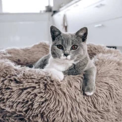 District 70 FUZZ - Hondenmand Comfortabel En Zacht Pluche - Zand, Oudroze, Donkergrijs En Lichtgrijs In S/M/L/XL - Maat: Large, Kleur: Zand -Dog Supplies 1200x1200 843