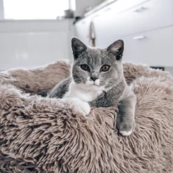 District 70 FUZZ - Hondenmand Comfortabel En Zacht Pluche - Zand, Oudroze, Donkergrijs En Lichtgrijs In S/M/L/XL - Maat: Medium, Kleur: Zand -Dog Supplies 1200x1200 850