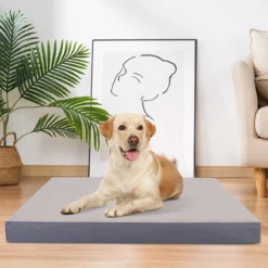 Nobleza Orthopedische Hondenkussen Wasbaar - Hondenbed - Maat L: 90 X 70 X 8 Cm - Grijs 14 Nobleza Orthopedische Hondenkussen Wasbaar - Hondenbed - Maat L: 90 X 70 X 8 Cm - Grijs -Dog Supplies 1200x1200 863