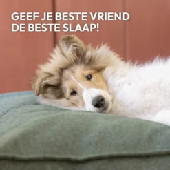 Snoozle Orthopedische Hondenmand - Zacht En Luxe Hondenkussen - Hondenbed - Wasbaar - Hondenmanden - 100 X 70 Cm - Groen 19 Snoozle Orthopedische Hondenmand - Zacht En Luxe Hondenkussen - Hondenbed - Wasbaar - Hondenmanden - 100 X 70 Cm - Groen -Dog Supplies 1200x1200 867