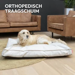 Snoozle Orthopedische Hondenmand - Zacht En Luxe Hondenkussen - Hondenbed - Wasbaar - Hondenmanden - 120 X 90 Cm - Groen -Dog Supplies 1200x1200 878