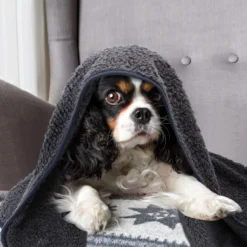 Nobleza 40UWK Hondendeken - Dierenmat - Benchkleed - 120x100cm - Grijs -Dog Supplies 1200x1200 922