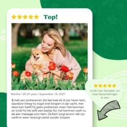 Mister Mill Professionele Set Slicker Honden Kattenborstel Plus Nagelknipper Plus Ondervacht Kam -Dog Supplies 1200x1200 93