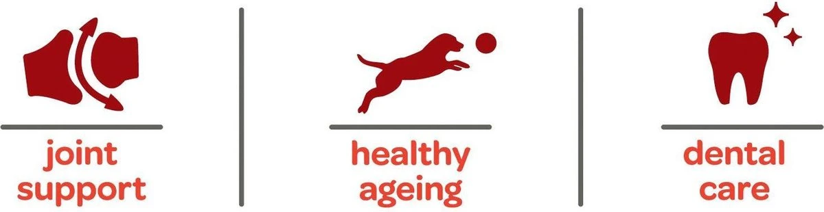 Smolke Senior Maxi - Kip - Hondenvoer - 12 Kg 4 Smolke Senior Maxi - Kip - Hondenvoer - 12 Kg - Afbeelding 4