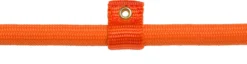 Rebel Petz - Honden Trainingslijn Met Halsband - Taupe, Zwart, Groen & Oranje - Maat Small Of Large - Kleur: Oranje, Maat: Large 24 Rebel Petz - Honden Trainingslijn Met Halsband - Taupe, Zwart, Groen & Oranje - Maat Small Of Large - Kleur: Oranje, Maat: Large -Dog Supplies 1200x312
