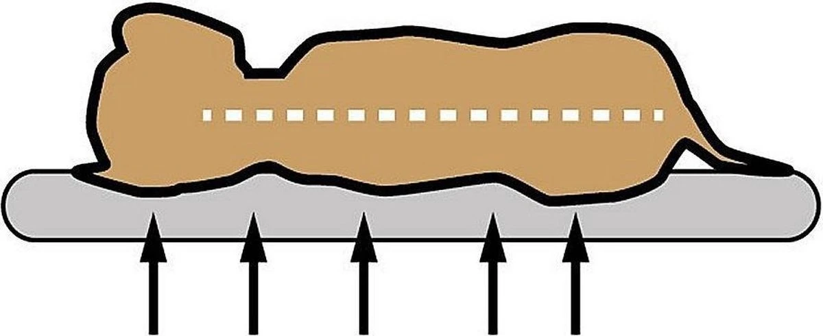 Sun Garden Buddy Orthopedisch Hondenkussen 72x50x8cm Antraciet 3 Sun Garden Buddy Orthopedisch Hondenkussen 72x50x8cm Antraciet - Afbeelding 3