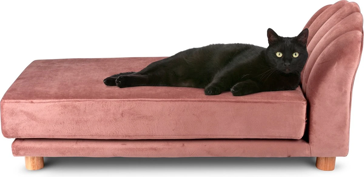 Maxxpro Katten- En Hondenbank - Roze - Verhoogd Met Houten Poten - Fluweel Materiaal - 90 X 44 X 34 CM - Huisdieren Tot 80 KG 1 Maxxpro Katten- En Hondenbank - Roze - Verhoogd Met Houten Poten - Fluweel Materiaal - 90 X 44 X 34 CM - Huisdieren Tot 80 KG