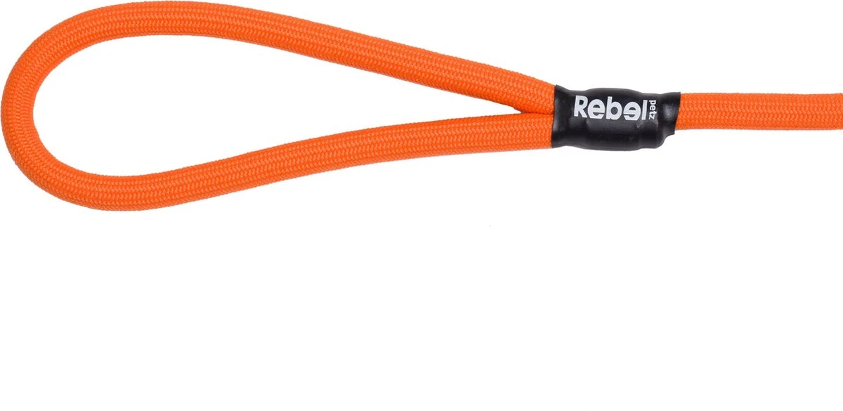 Rebel Petz - Honden Trainingslijn Met Halsband - Taupe, Zwart, Groen & Oranje - Maat Small Of Large - Kleur: Oranje, Maat: Large 3 Rebel Petz - Honden Trainingslijn Met Halsband - Taupe, Zwart, Groen & Oranje - Maat Small Of Large - Kleur: Oranje, Maat: Large - Afbeelding 3