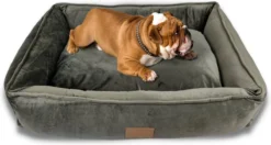 Topmast Soft Velours - Hondenmand - 75 X 58 Cm - L - Grijs - Hondenbed - Hondenkussen - Luxe Hondenmanden - Machinewasbaar Binnenkussen -Dog Supplies 1200x639 1