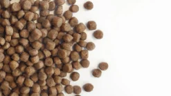 Carocroc Puppy 15 KG -Dog Supplies 1200x675 2