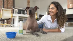 OxyFresh Pet Mondwater Hond En Kat. Helpt Tegen Tandsteen, Plak En Vieze Ademgeurtjes 8 OxyFresh Pet Mondwater Hond En Kat. Helpt Tegen Tandsteen, Plak En Vieze Ademgeurtjes -Dog Supplies 1200x675 4