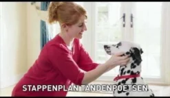 Beaphar Tandenborstel -Dog Supplies 1200x697 4