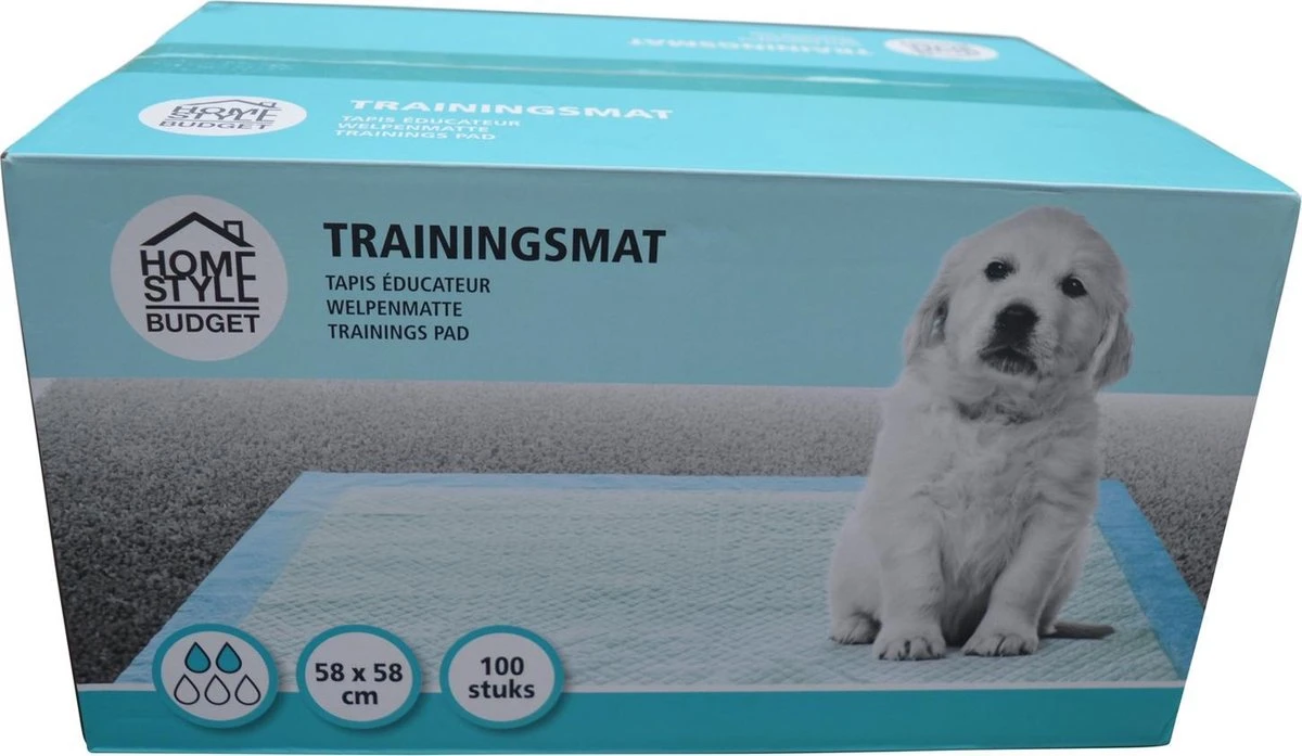 Homestyle Budget Trainingsmat - Zindelijkstraining - 100 Stuks - 58x58 Cm 2 Homestyle Budget Trainingsmat - Zindelijkstraining - 100 Stuks - 58x58 Cm - Afbeelding 2