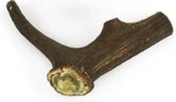 Topdiervoeding Hertengewei Voor Honden -maat XXL - 360-400 Gram