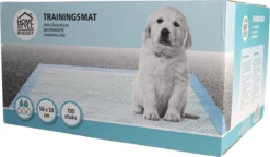 Homestyle Budget Trainingsmat - Zindelijkstraining - 100 Stuks - 58x58 Cm