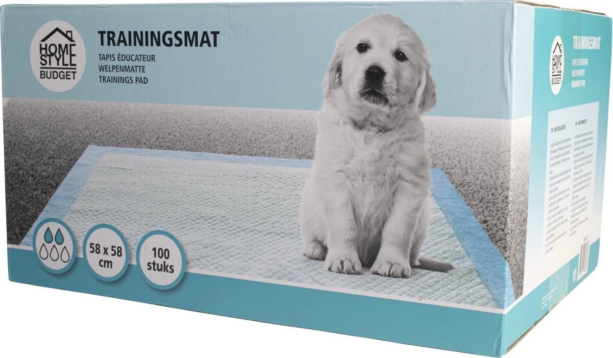 Homestyle Budget Trainingsmat - Zindelijkstraining - 100 Stuks - 58x58 Cm 1 Homestyle Budget Trainingsmat - Zindelijkstraining - 100 Stuks - 58x58 Cm