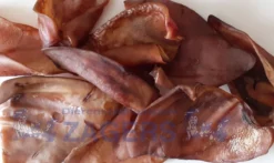 Varkensoren 100 Stuks