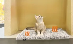 Merkloos Zelfverwarmende Dierendeken Zonder Stroom Thermo Deken Hond Kat Inclusief Adreslabel 70 X 47 Cm -Dog Supplies 1200x730