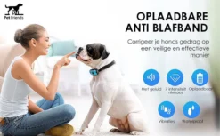 PetFriends Anti Blafband Zonder Schok - Gratis Hondenfluit - USB Oplaadbaar - Anti Blaf Apparaat - Opvoedingshalsband - Voor Grote En Kleine Honden 17 PetFriends Anti Blafband Zonder Schok - Gratis Hondenfluit - USB Oplaadbaar - Anti Blaf Apparaat - Opvoedingshalsband - Voor Grote En Kleine Honden -Dog Supplies 1200x742 1