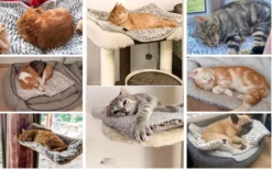 Merkloos Zelfverwarmende Dierendeken Zonder Stroom Thermo Deken Hond Kat Inclusief Adreslabel 70 X 47 Cm -Dog Supplies 1200x751 3