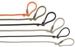 Rebel Petz - Honden Trainingslijn Met Halsband - Taupe, Zwart, Groen & Oranje - Maat Small Of Large - Kleur: Oranje, Maat: Large 26 Rebel Petz - Honden Trainingslijn Met Halsband - Taupe, Zwart, Groen & Oranje - Maat Small Of Large - Kleur: Oranje, Maat: Large -Dog Supplies 1200x756 2