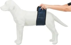 Trixie Plasband Voor Reuen Blauw M 37/45cm -Dog Supplies 1200x762 1