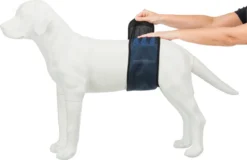 Trixie Plasband Voor Reuen Blauw M 37/45cm -Dog Supplies 1200x775
