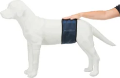 Trixie Plasband Voor Reuen Blauw M 37/45cm -Dog Supplies 1200x777