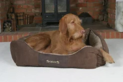Hondenmand Zacht En Stevig, Anti-Slip En Wasbaar - Scruffs Chester Box Bed - In Grijs En Bruin In Maat S Tot XL - Kleur: Grijs, Maat: Large 34 Hondenmand Zacht En Stevig, Anti-Slip En Wasbaar - Scruffs Chester Box Bed - In Grijs En Bruin In Maat S Tot XL - Kleur: Grijs, Maat: Large -Dog Supplies 1200x799 34