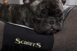 Hondenmand Zacht En Stevig, Anti-Slip En Wasbaar - Scruffs Chester Box Bed - In Grijs En Bruin In Maat S Tot XL - Kleur: Grijs, Maat: Medium -Dog Supplies 1200x799 38
