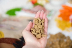 Kivo Petfood PROEFZAKJE Hondenbrokken Lam & Rijst 300 Gram - Koudgeperst - Glutenvrij -Dog Supplies 1200x799 5