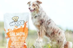 WOOOF Zalm - Geperst Hondenvoer - Hypoallergeen Hondenvoer - Geperste Hondenbrokken - Droogvoer - 18KG -Dog Supplies 1200x799 9