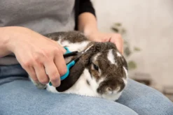 Trixie Gezicht- En Potenschaar Kunststof / Rvs 8 Cm -Dog Supplies 1200x800 10