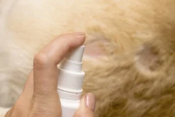 Petoxil Pet Spray Met Colloïdaal Zilver Is Speciaal Ontworpen Voor Gebruik Op Alle (huis) Dierensoorten. Revolutionair In Hygiëne -Dog Supplies 1200x800 15